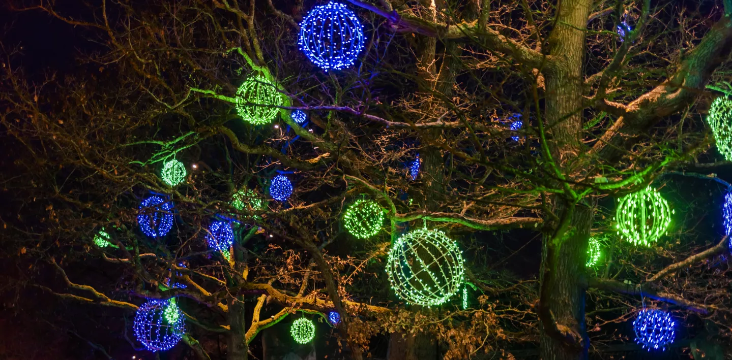 Photo Les jardins merveilleux du Père Noël