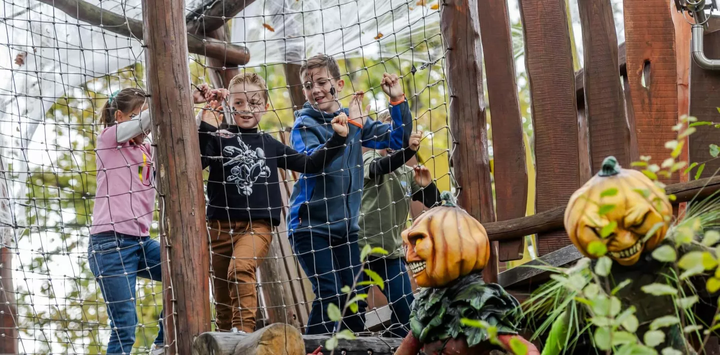 forêt idéfix peur sur le parc