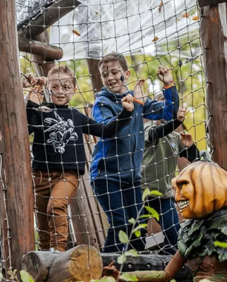 forêt idéfix peur sur le parc