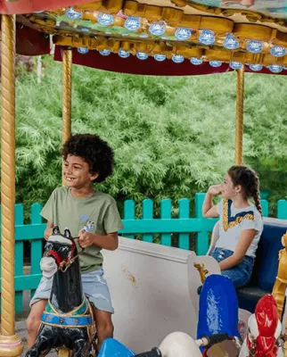 mini carrousel