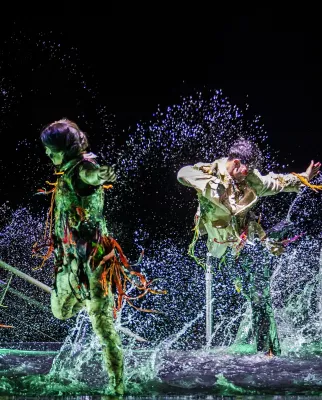 La dernière danse du Sirius 