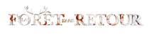 logo : La Forêt sans retour