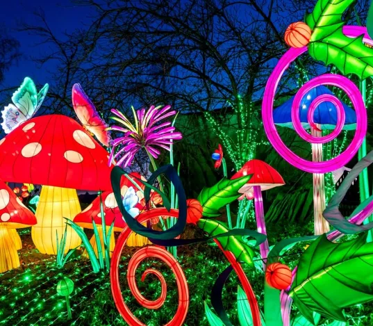 jardin merveilleux