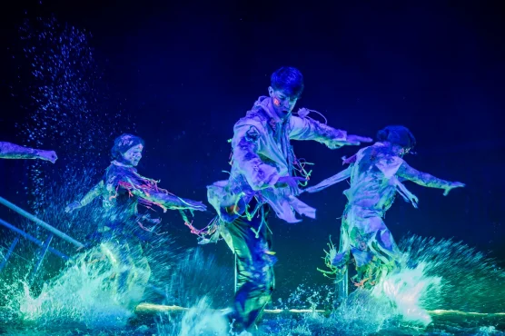 Spectacle : La Malédiction du Sirius
