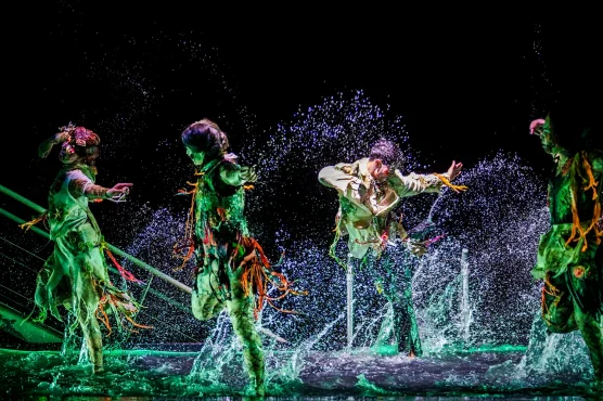 Spectacle : La Malédiction du Sirius