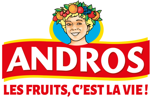 Logo Andros
