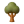 arbre