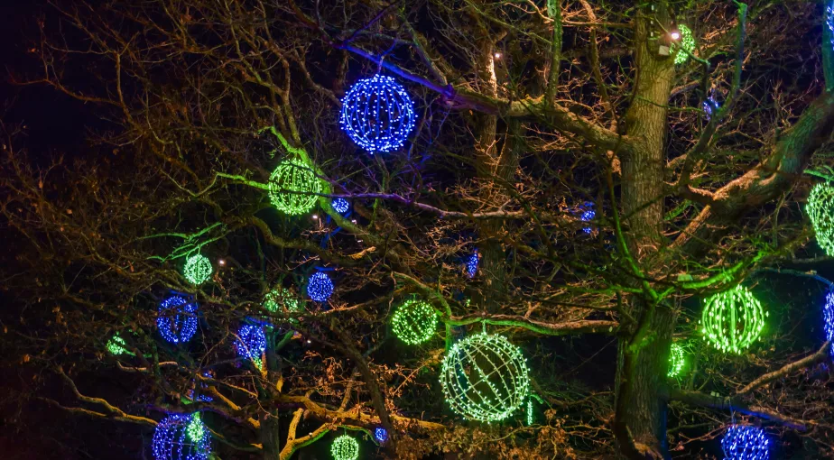 Image attraction Les jardins merveilleux du Père Noël