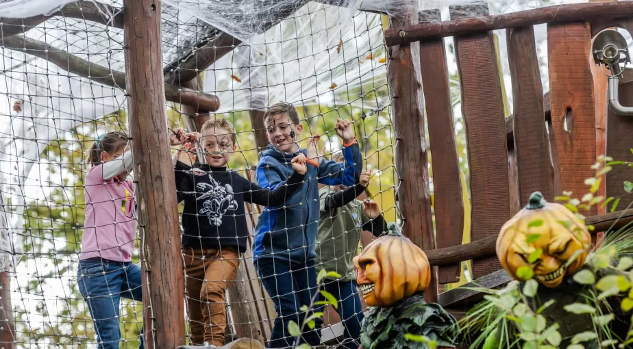 forêt idéfix peur sur le parc