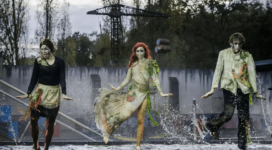 La Danse des Naufragés 