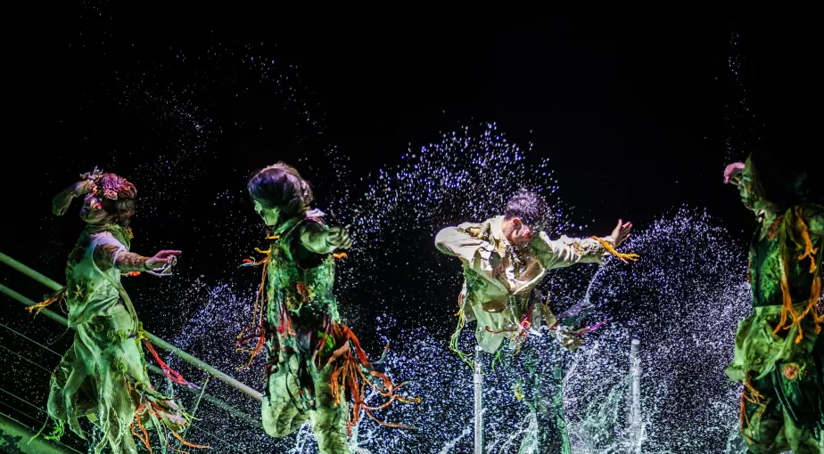 Image spectacle La dernière danse du Sirius 