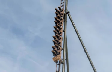 Festival Toutatis parc asterix