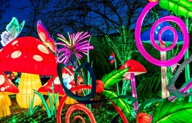 jardin merveilleux