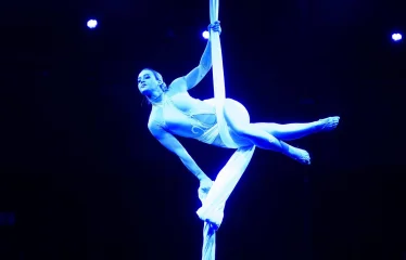 spectacle hiver quel cirque