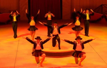 spectacle quel cirque