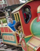 Le Petit Train