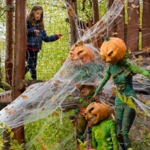 foret idéfix actu