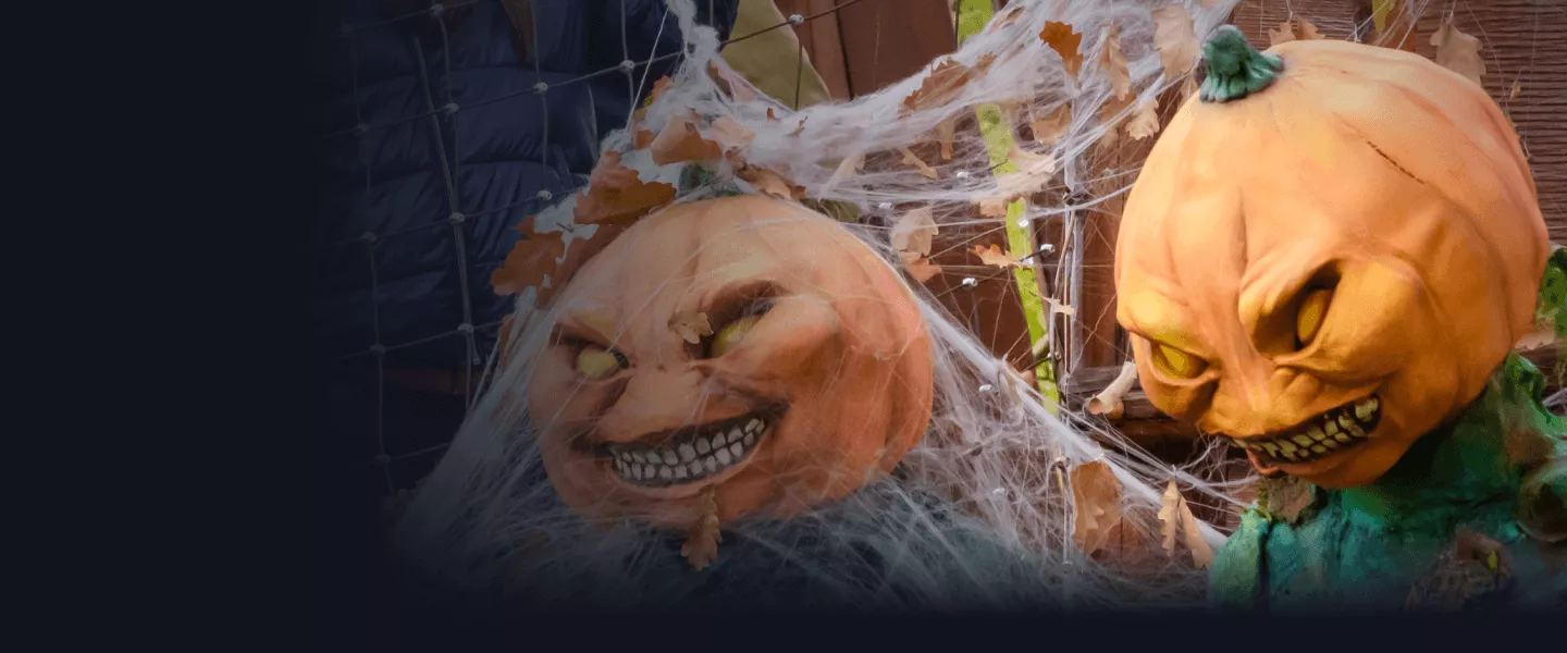 Image PetitFriss.png
